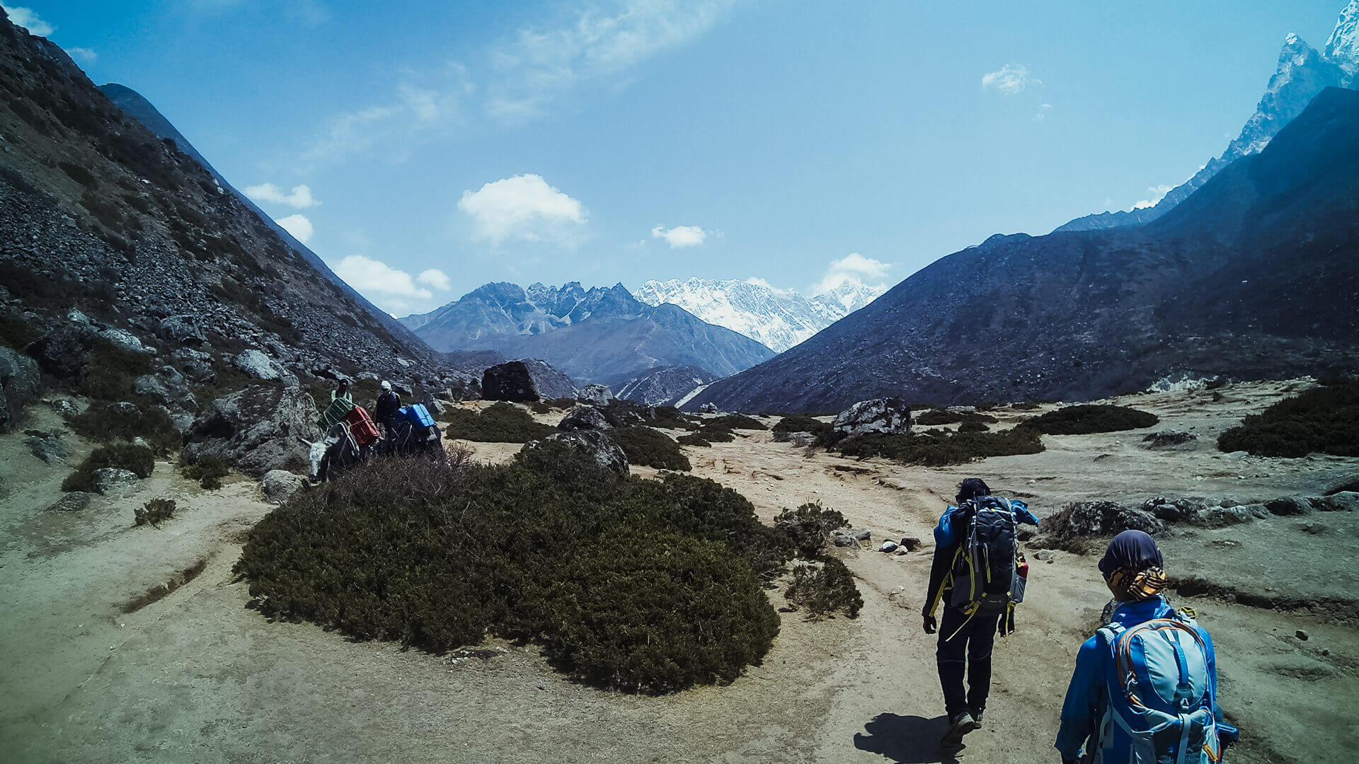 Day 5 (Tengboche – Dinboche)