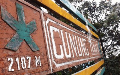 Escape to Nature’s Playground: Conquering Gunung Tahan, The Ultimate Adventure Quest!