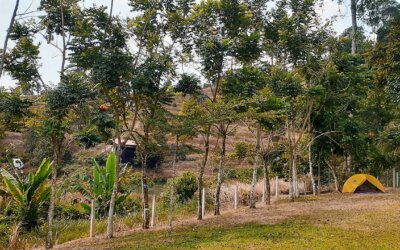 Uncover the Hidden Paradise of Lembah Peladang Agropark Campsite in Sungai Buloh, Selangor!